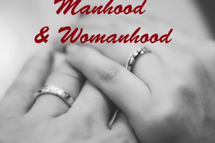 biblical manhood and womanhood series