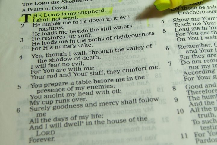 the lord is my shepherd psalms photo